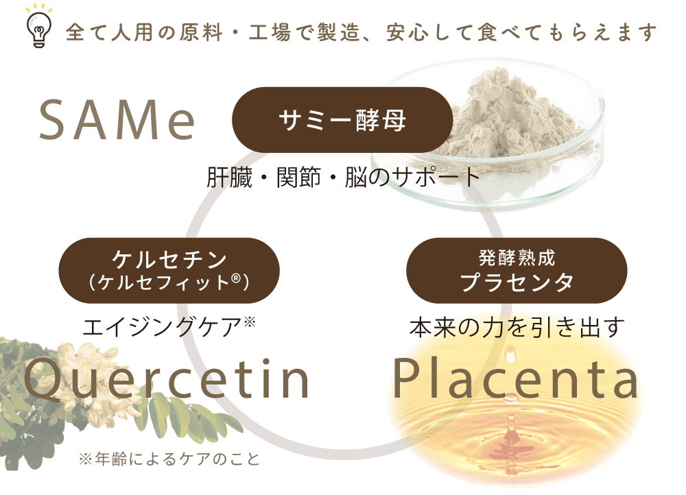 ３つのパワーで犬猫の健康を強力サポート