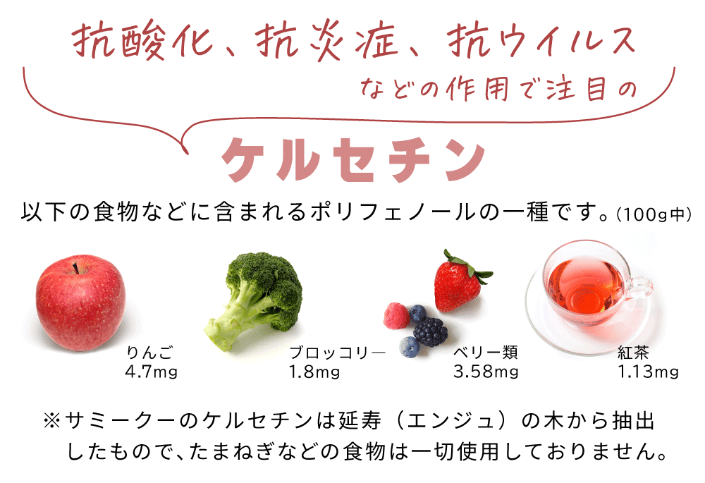 ケルセチンを含む食物