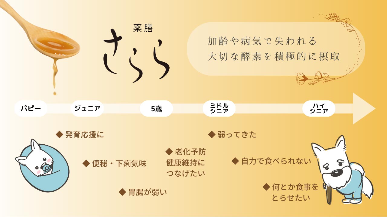 さらとろ時系列表