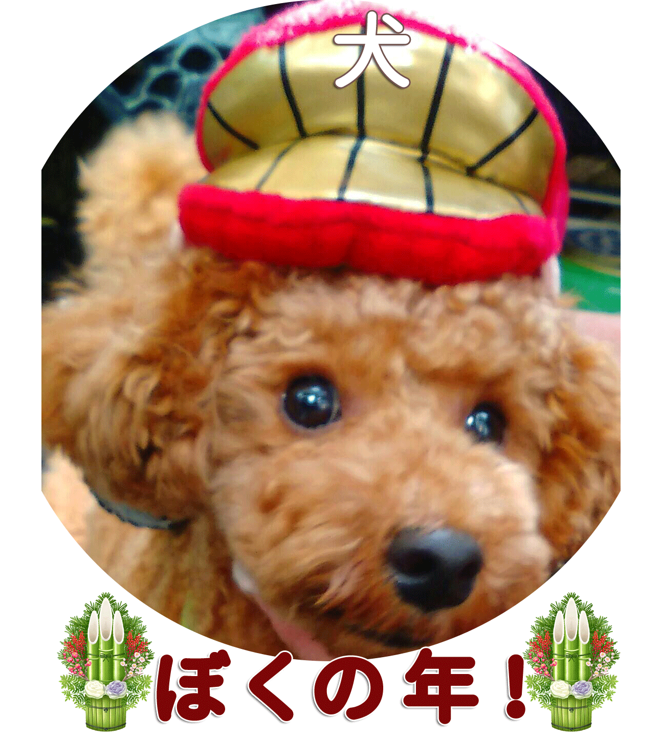 商品タイトル６松田