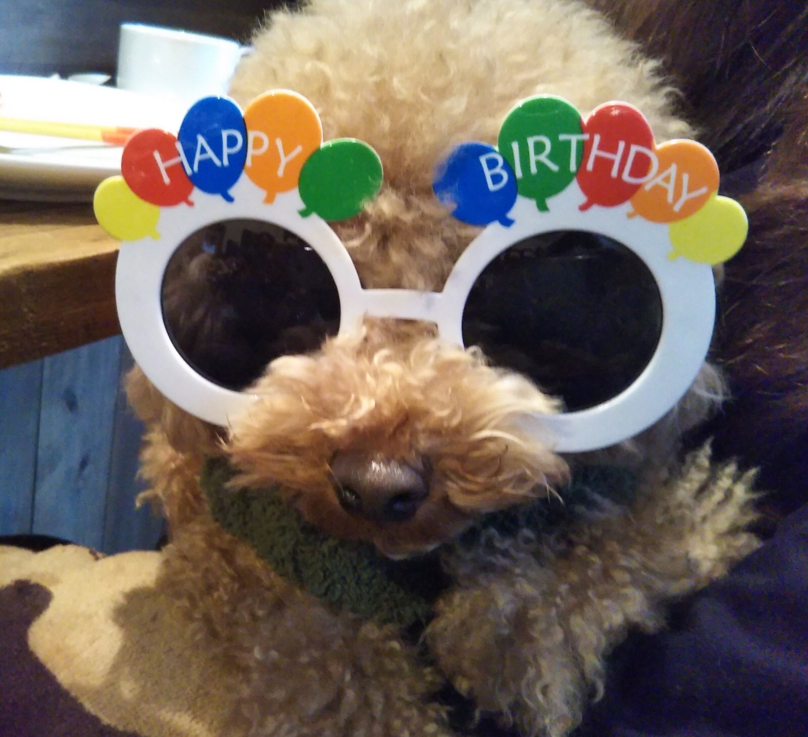 商品タイトル７松田