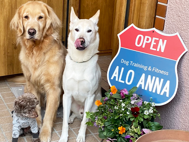 商品タイトル３松田